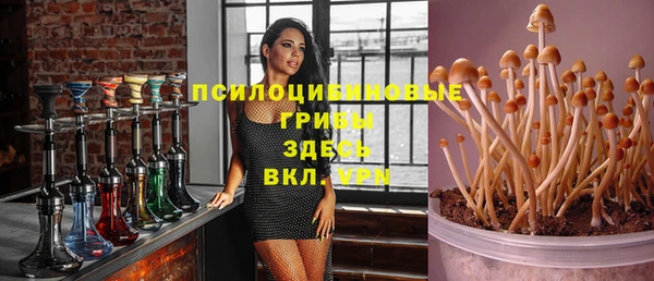 трава Алзамай
