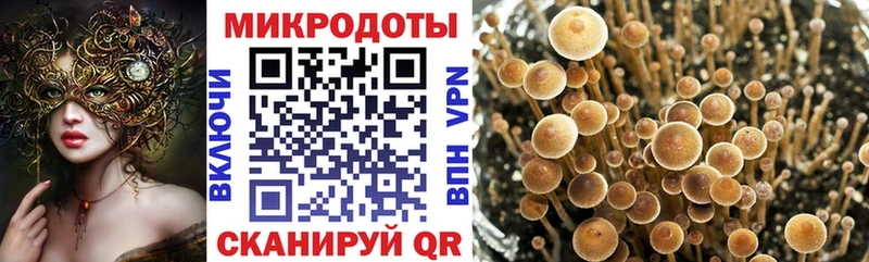 Галлюциногенные грибы Magic Shrooms  Новокубанск 
