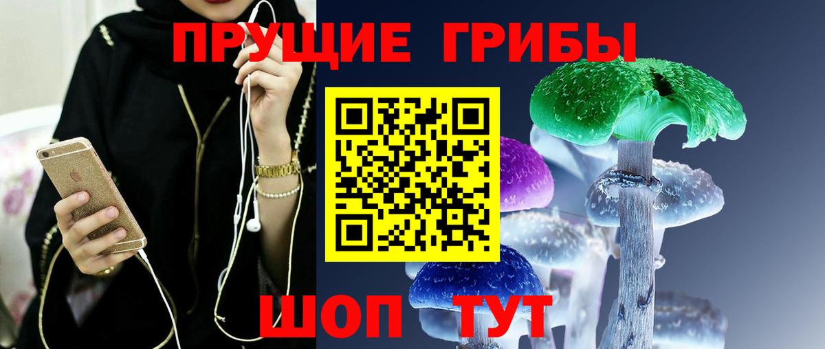 Галлюциногенные грибы Magic Shrooms  Галлюциногенные грибы Psilocybine cubensis  Вход с VPN  Новокубанск 