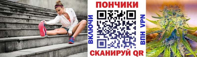 Шишки марихуана сатива  как найти наркотики  Новокубанск 